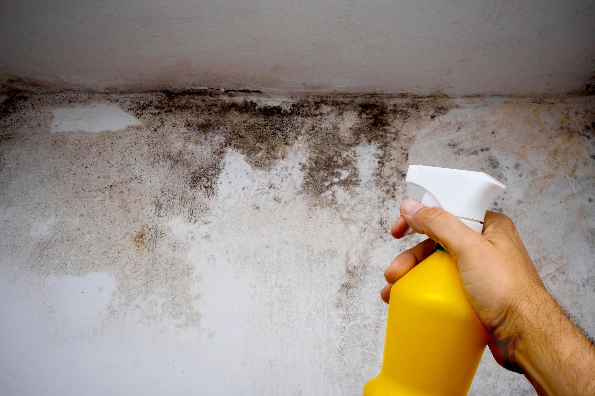Warning Signs of Toxic Mold Illness