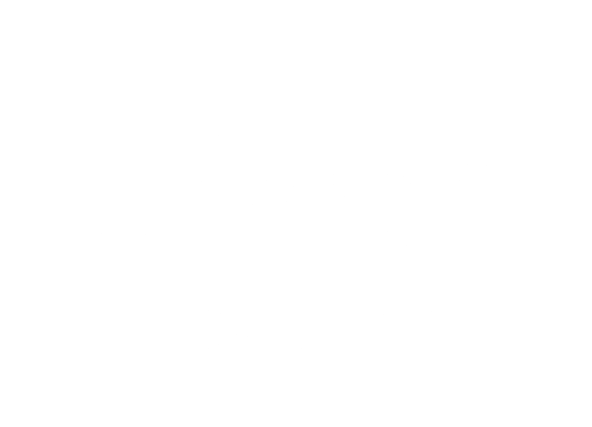 A white, empty field with no distinguishing features.