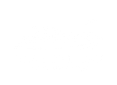 A white, empty field with no distinguishing features.