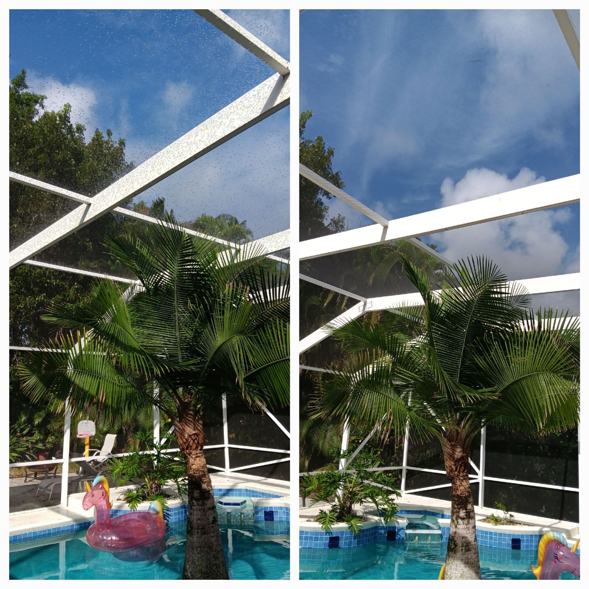 A before and after picture of a swimming pool with palm trees