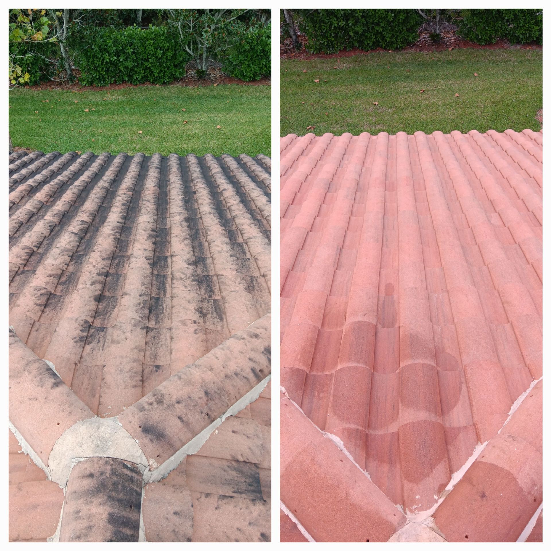 A before and after picture of a roof that has been cleaned