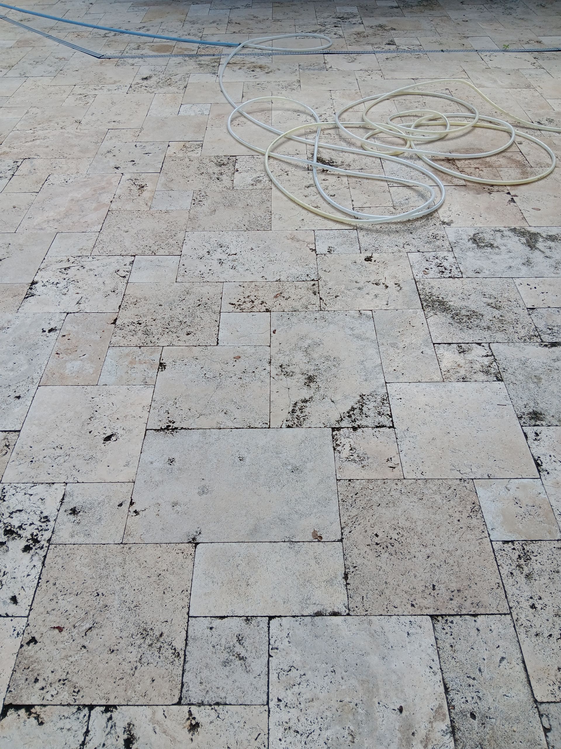 A hose is laying on a dirty tiled floor