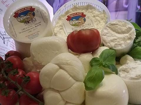 selezione di formaggi freschi