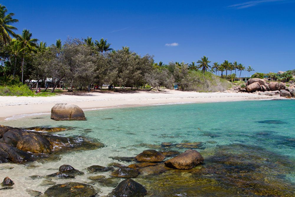 Tropical Beach with Palm Trees and Rocks in the Water — Refrigerated Technologies (QLD) Pty Ltd In Bowen, QLD