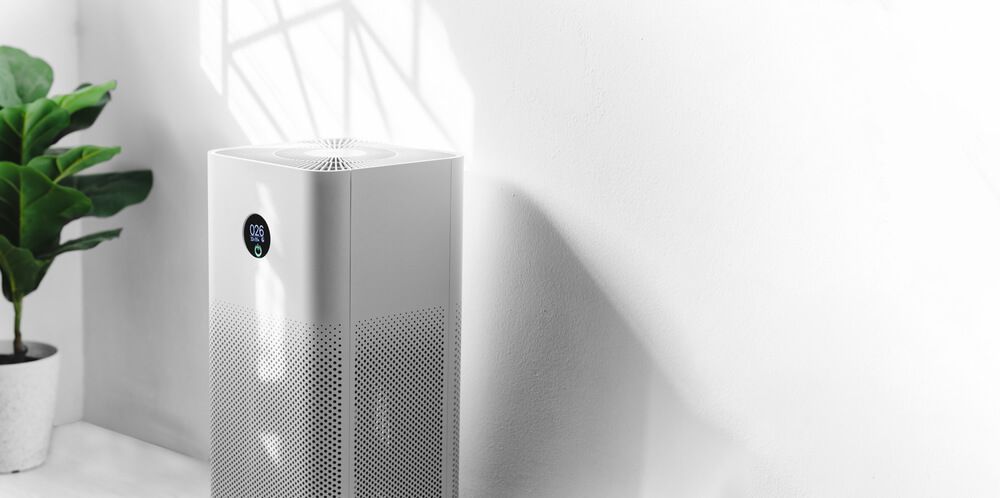A White Air Purifier Placed Alongside a Potted Plant in a Room — Refrigerated Technologies (QLD) Pty Ltd In Proserpine, QLD