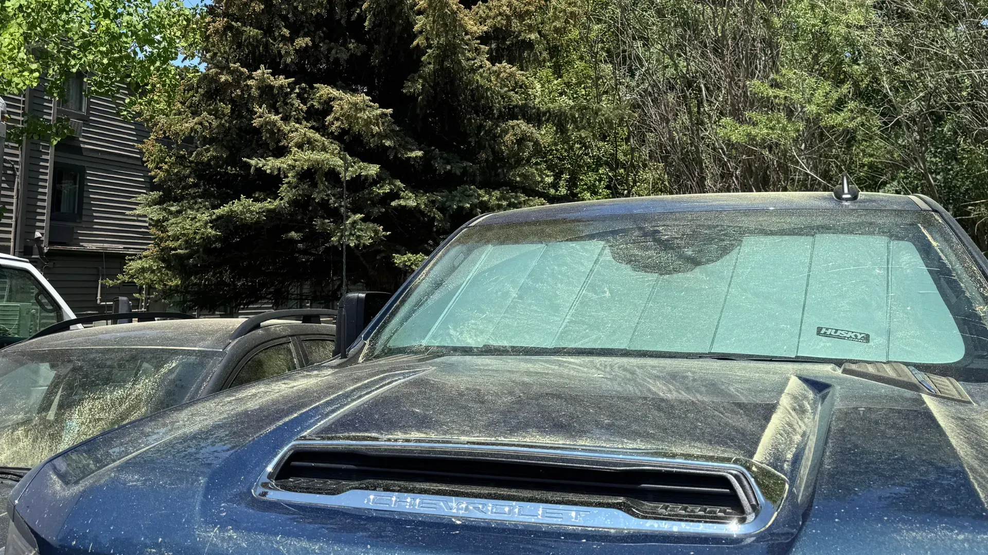 Blue car with dusty windshield parked outdoors beside another car and trees