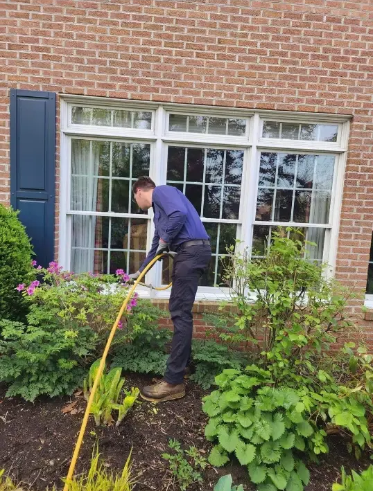 general pest control, pest control services, pest control in apartments, pest control and removal