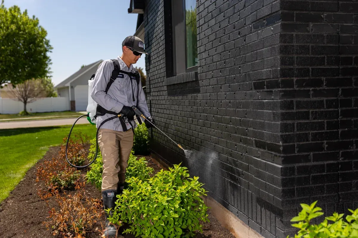 Signs You Need Professional Pest Control in Johnstown, PA