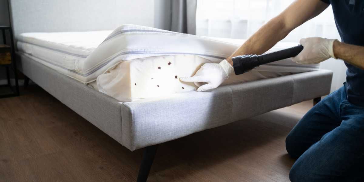 A man pointing on bed bugs