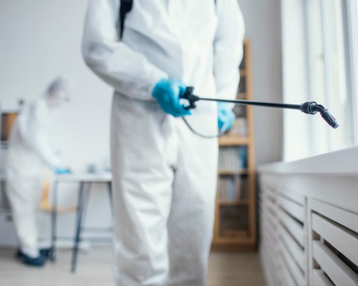 bed bug exterminator, bed bug extermination, bed bug removal services