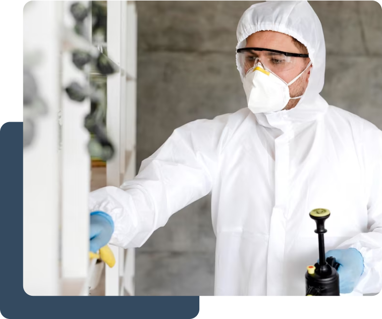 general pest control, pest control services, pest control in apartments, pest control and removal