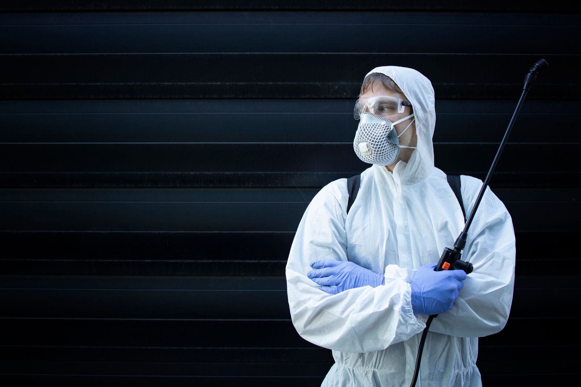 extermination, exterminator, bed bug control