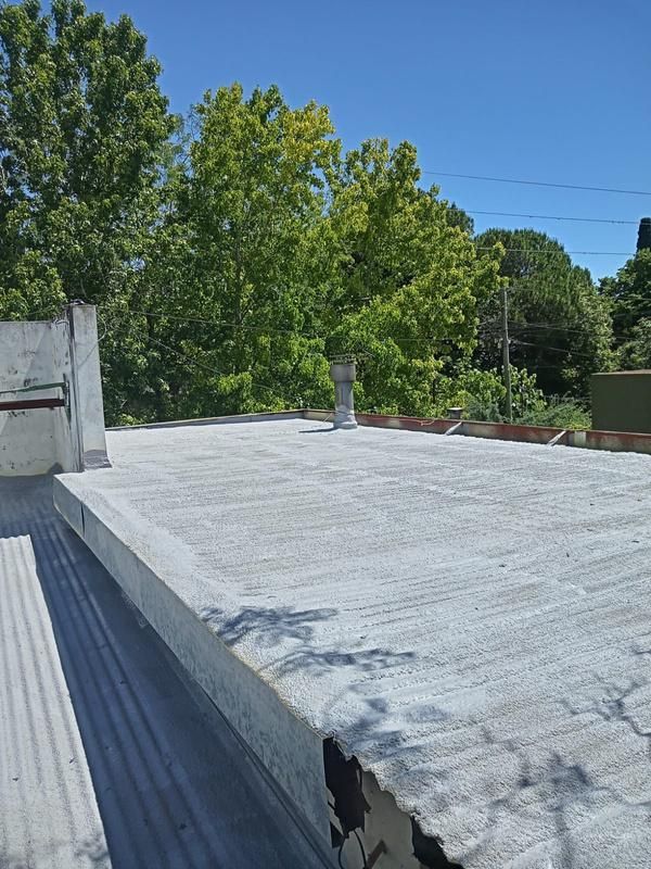 Azotea plana con chimenea, árboles verdes y un cielo azul claro.