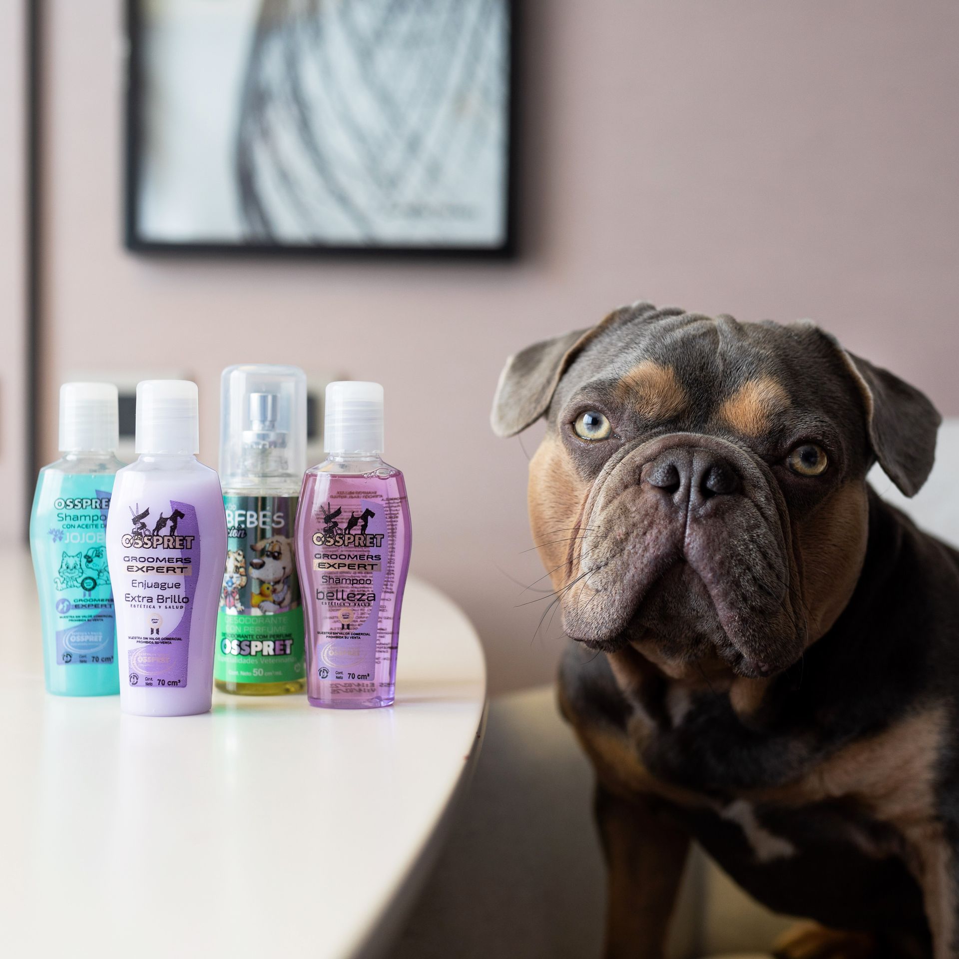 Un perro parado junto a una mesa con botellas de champú encima.