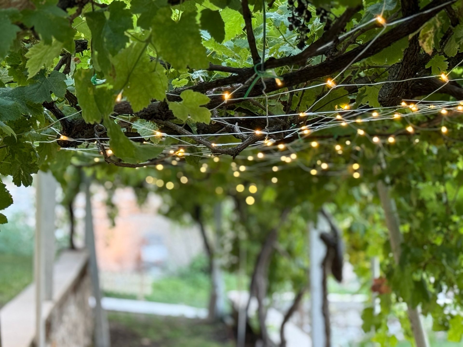 Un piatto bianco condito con pesce fritto, gamberi, calamari e fette di limone.