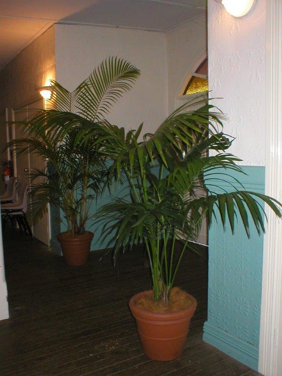 Festivals Plant Hire