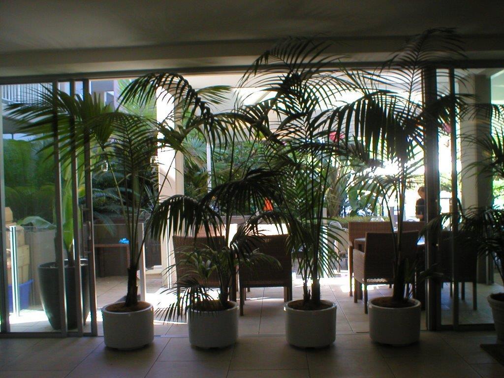 Festivals Plant Hire