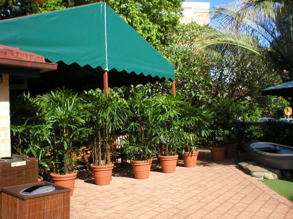 Festivals Plant Hire