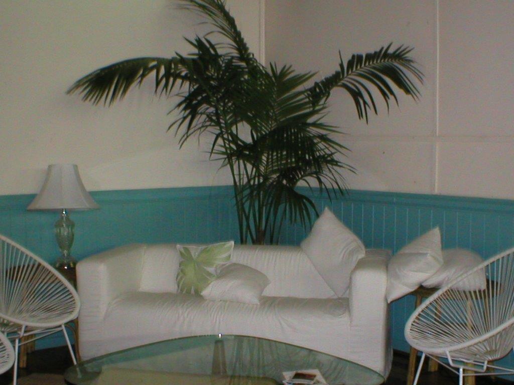 Festivals Plant Hire