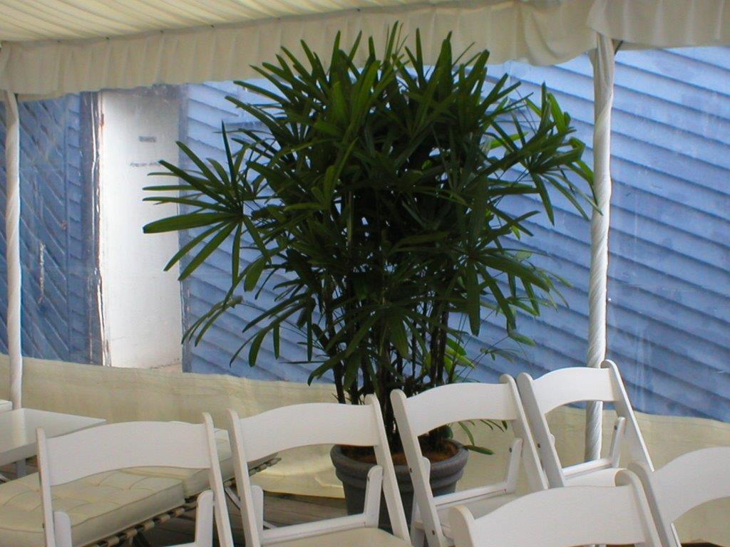 Festivals Plant Hire