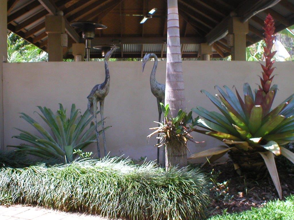 Festivals Plant Hire Gold Coast