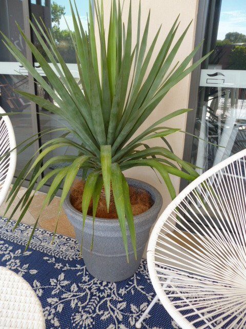 Festivals Plant Hire