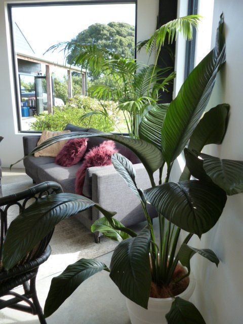 Festivals Plant Hire Gold Coast