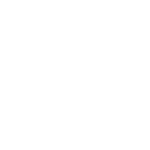 A close-up of a vibrant sunflower against a blurred green background, with sunlight illuminating its golden yellow petals.