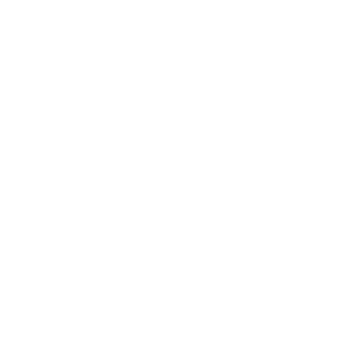 A close-up of a small, brown-and-white patterned moth resting on a dark green leaf.