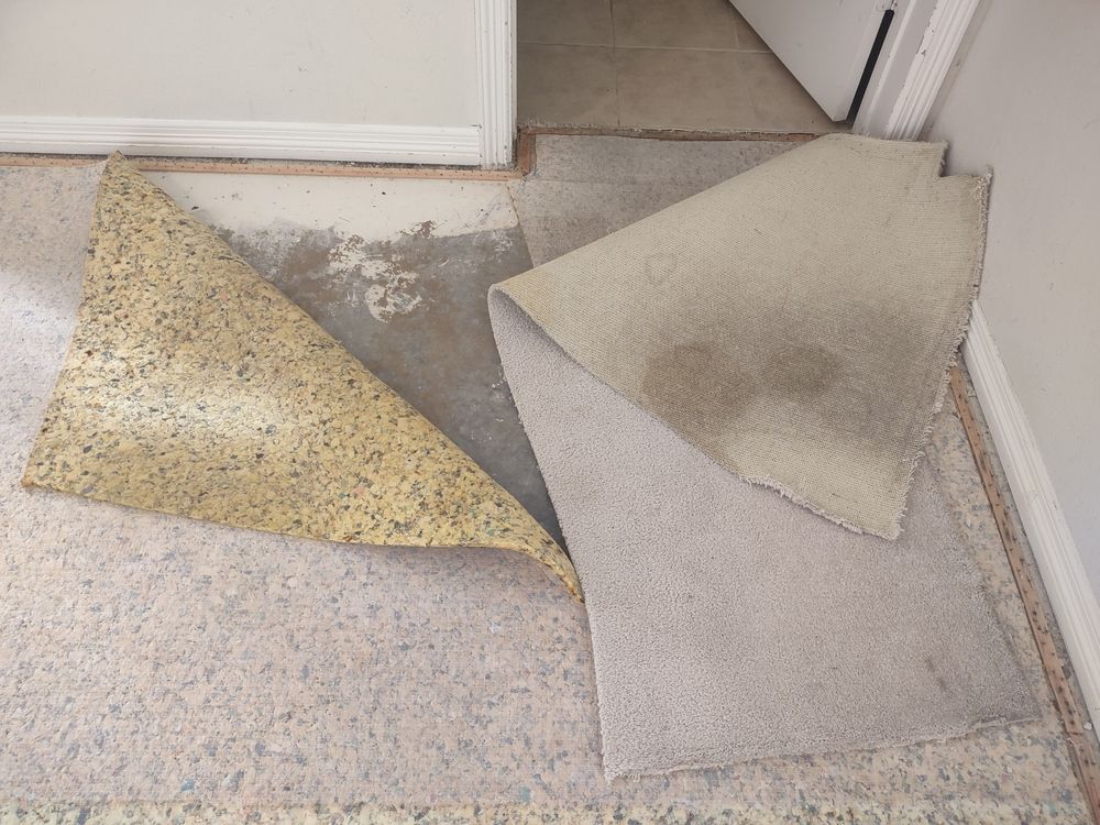 Peeling carpet tiles with exposed adhesive on a hallway floor