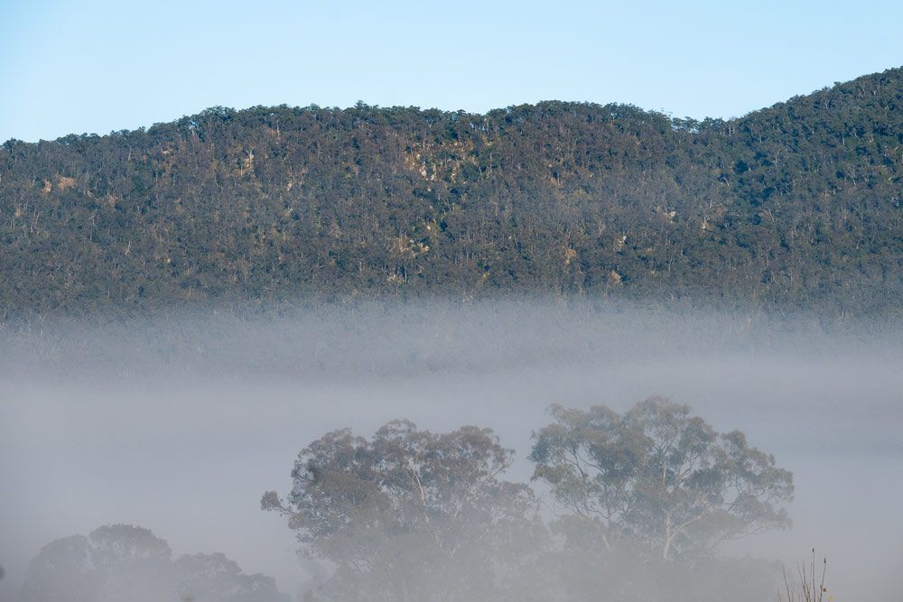 A Foggy Landscape With Trees and Mountains in the Background — ASAP Towing Pty Ltd in Araluen, QLD