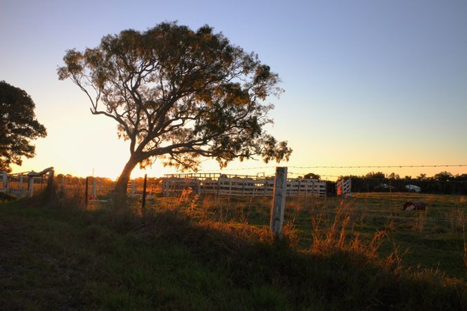 A Fenced in Field With a Tree in the Foreground and a Sunset in the Background — ASAP Towing Pty Ltd in Hervey Bay, QLD
