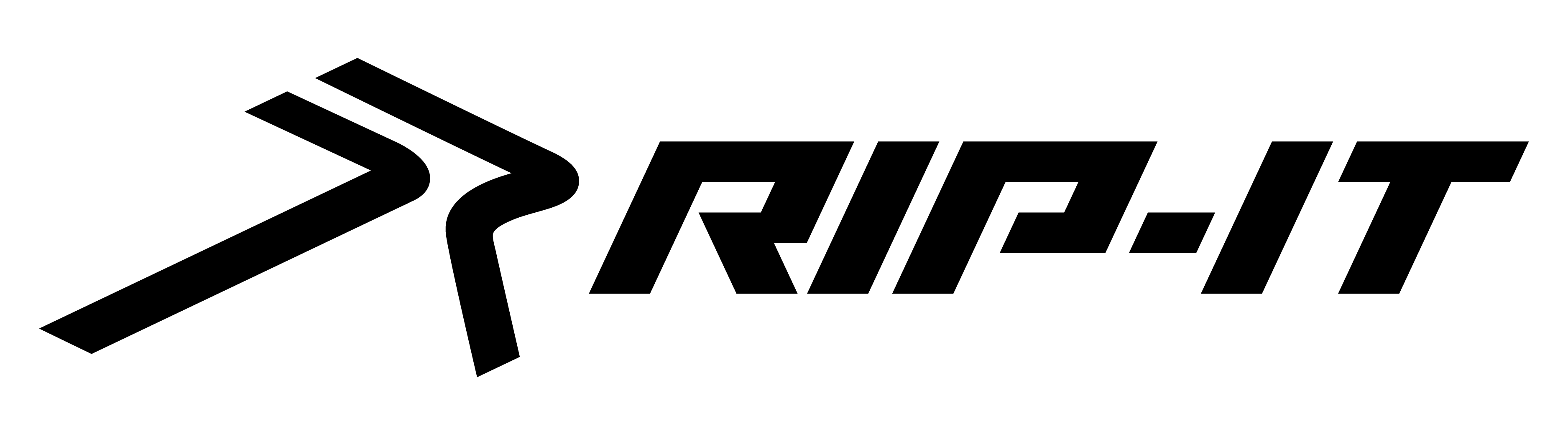 RIP-IT logo with an angled arrow and the company name.