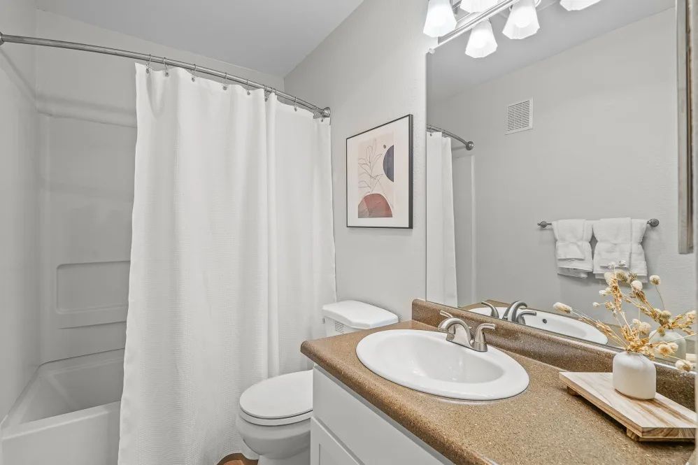 Bathroom with white shower curtain, toilet, sink, mirror, and decorative art.