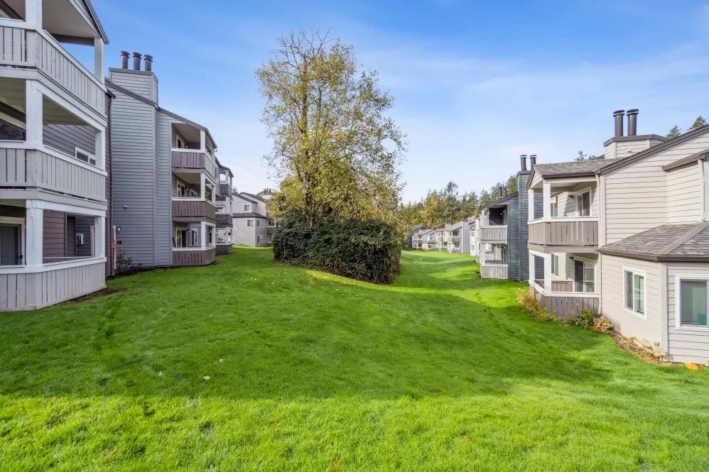 Apartment buildings with gray exteriors and balconies. Green grass and trees between buildings under a blue sky.