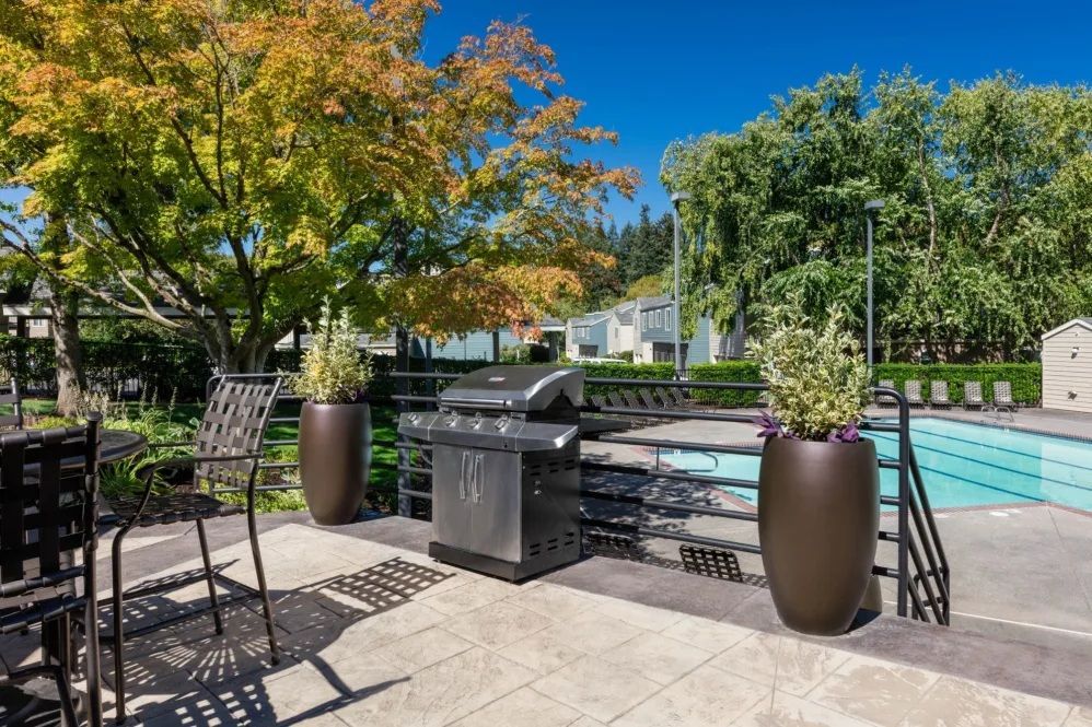 Patio with grill and potted plants near a swimming pool, trees in background, sunny day.