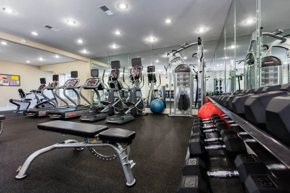 Gym with cardio machines, weight rack, workout bench, and mirrors.