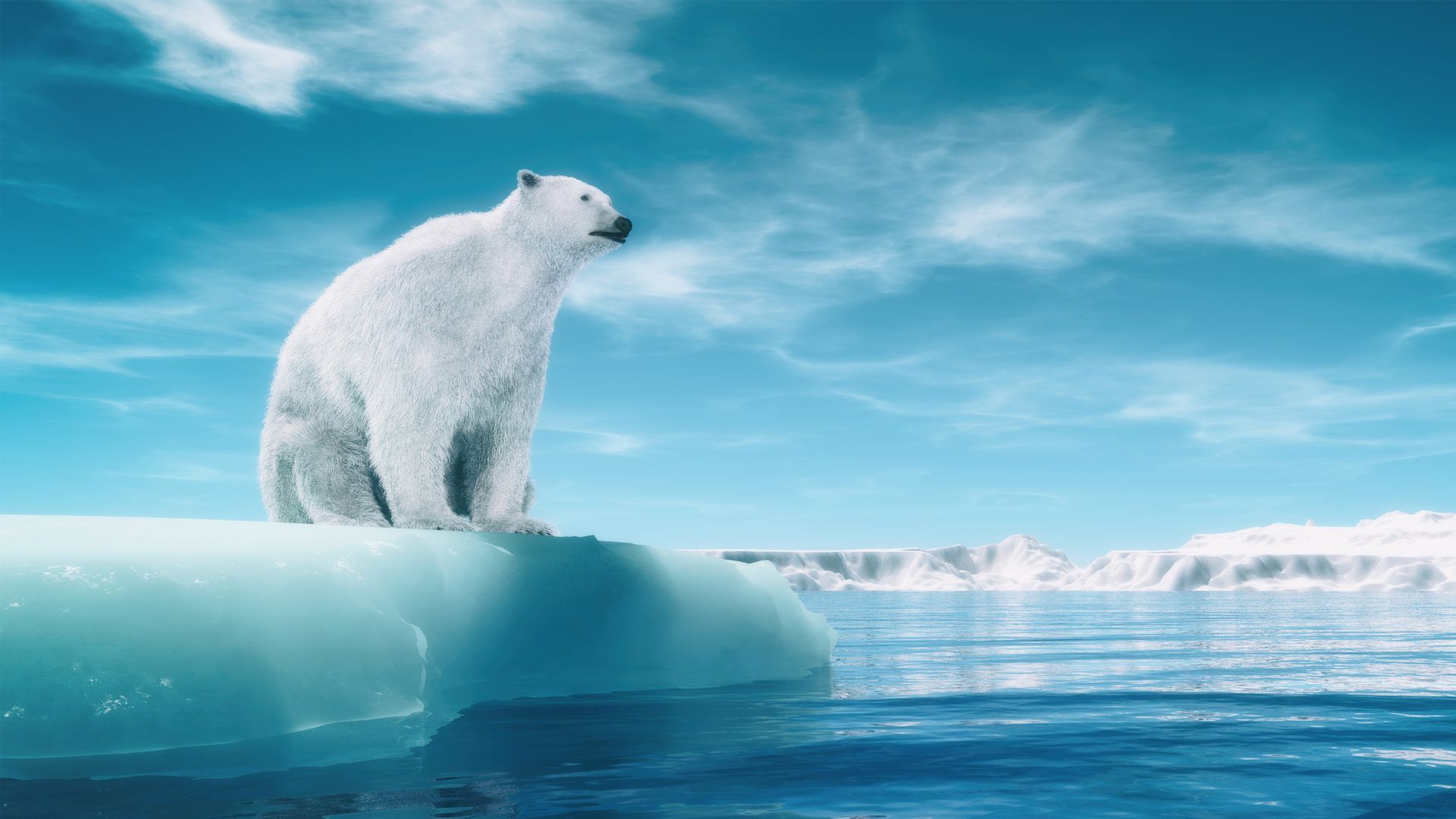 help save a polar bear