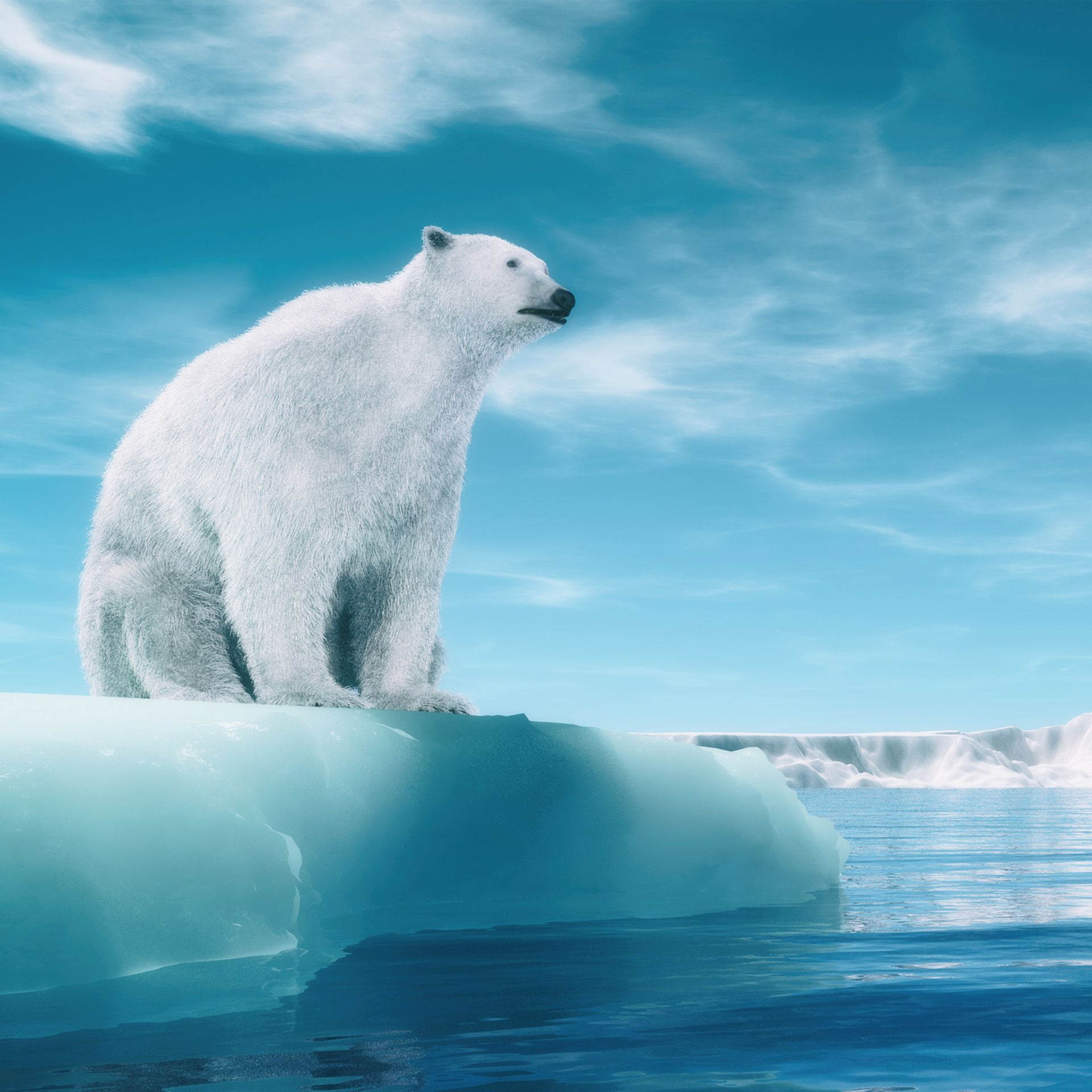 help save a polar bear