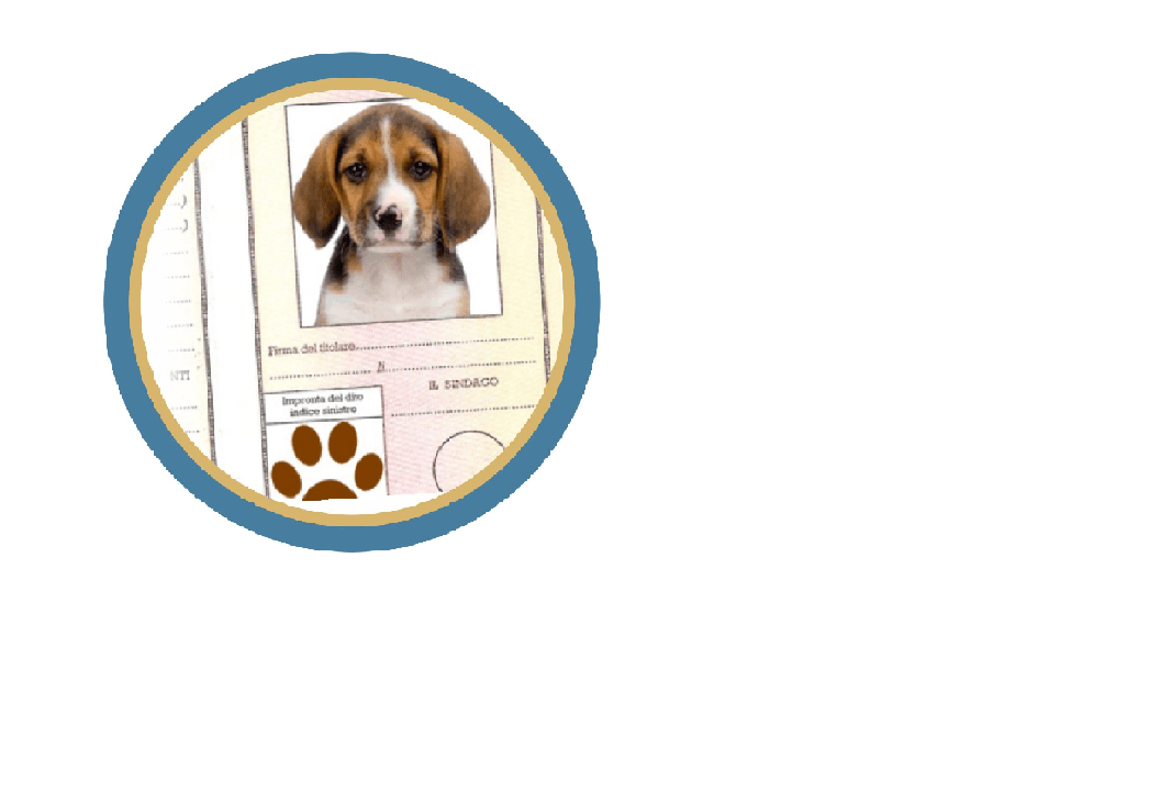 Anagrafe canina