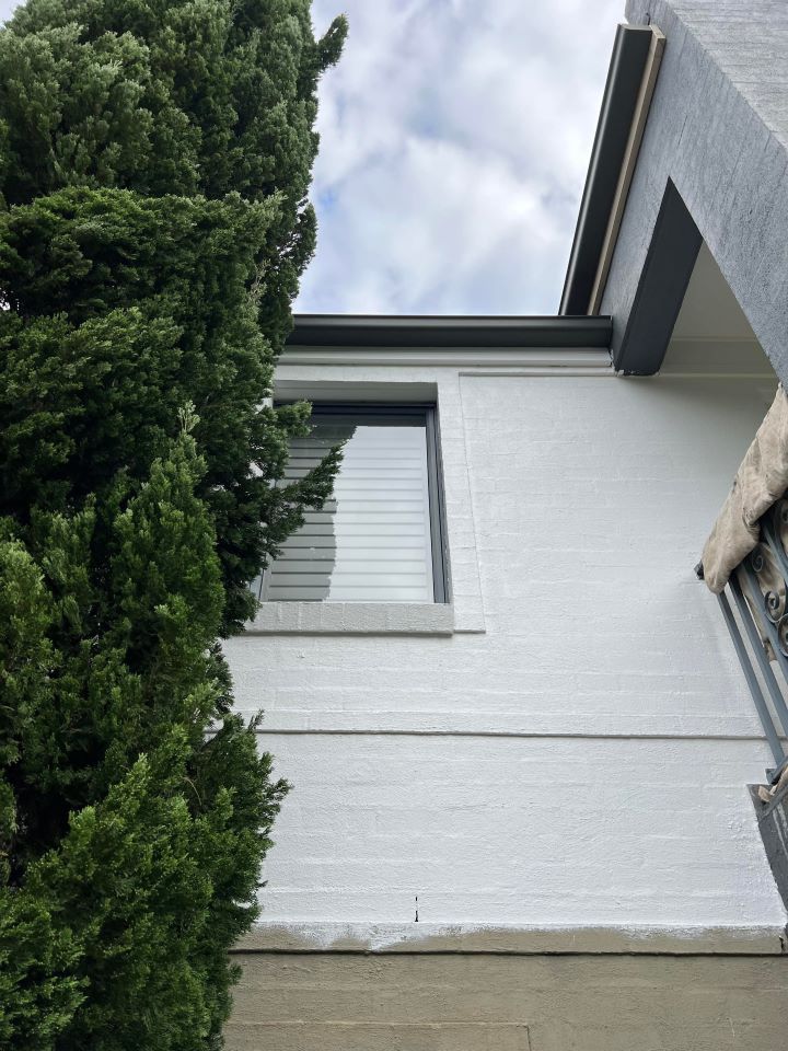 A white house with a window and a tree in front of it.