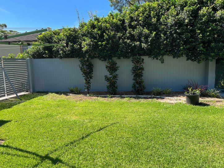 A Lush Green Lawn With a White Fence in the Background — D & J Saverino Painting & Decorating Pty Ltd In Fairy Meadow, NSW
