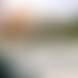 A red-tailed hawk perched on a wooden fence post, viewed from behind against a blurred, natural background.