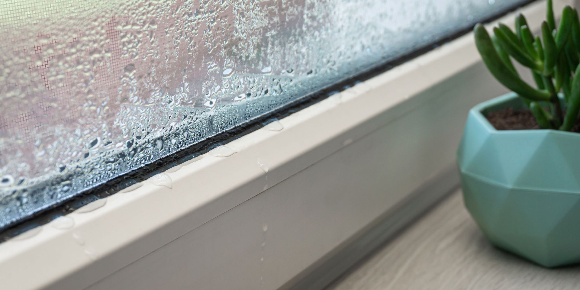 A close-up of a window with condensation and a succulent plant in a turquoise pot on a windowsill.
