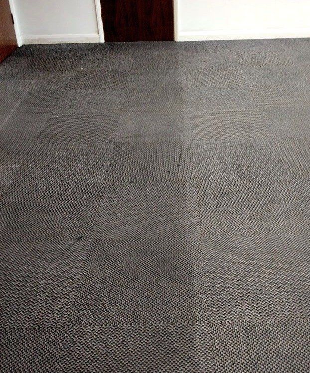 A close up of a carpeted floor in a room.