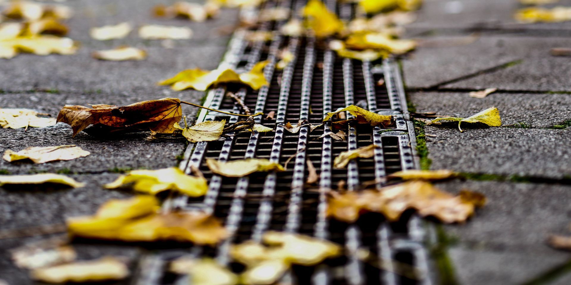 Leaves on a metal drain in a paved area, autumn season.