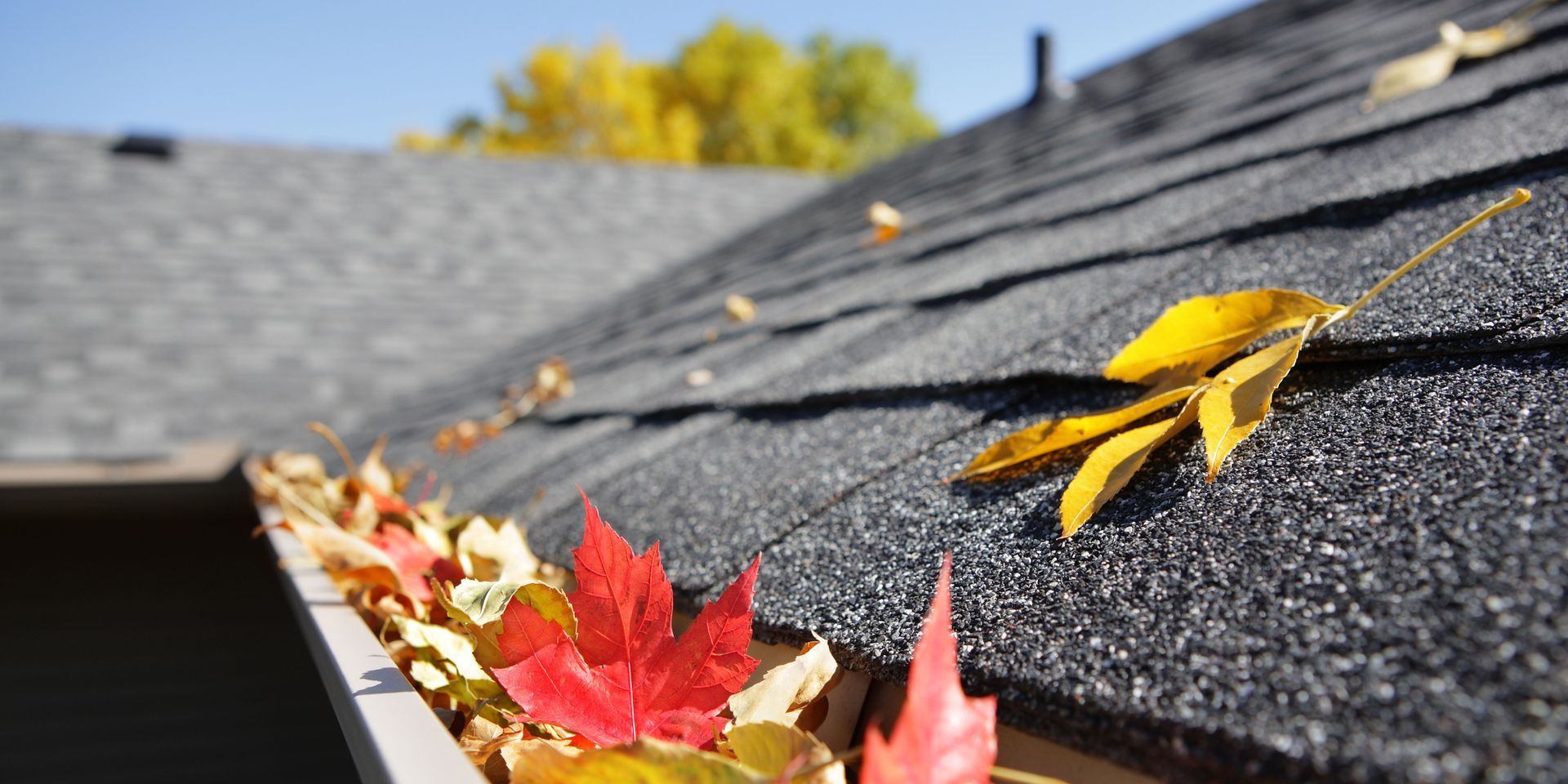 A gutter filled with leaves on the roof of a house.