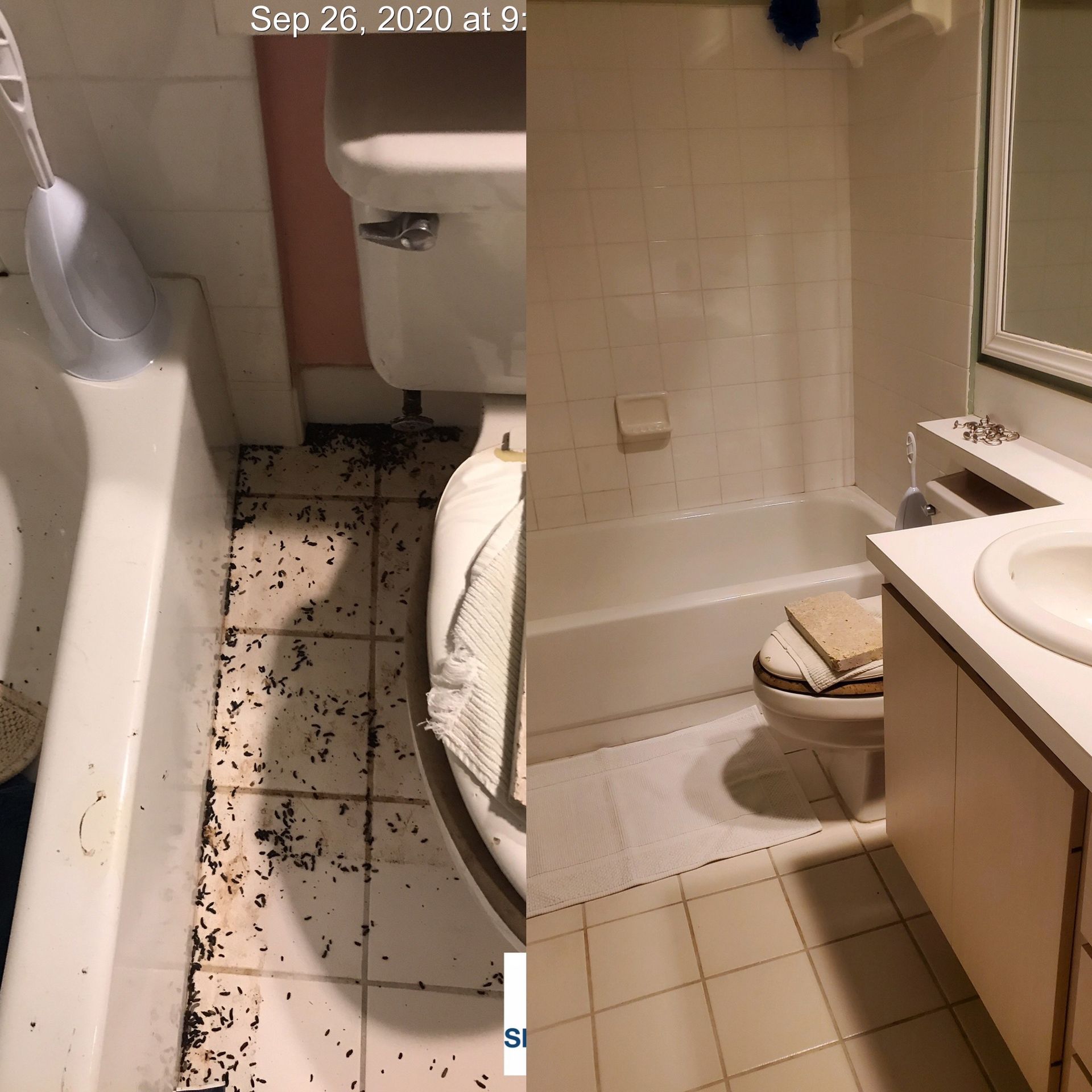Before and After Cleaning — Southwest, FL — ProRemedy SWFL