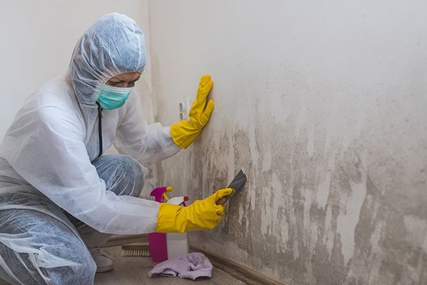 Mold Remediation Chemicals and Scraper Tool — Southwest, FL — ProRemedy SWFL
