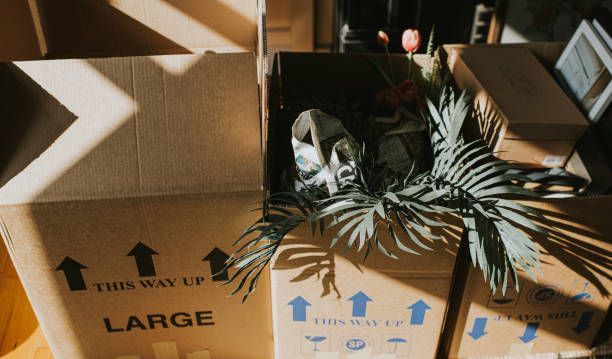 A row of cardboard boxes in a domestic room during a house move — Southwest, FL — ProRemedy SWFL